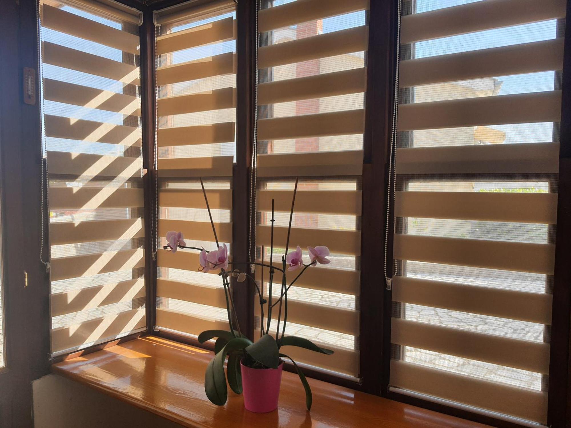 Apartments Vesna Avsec - 크르크 객실 사진